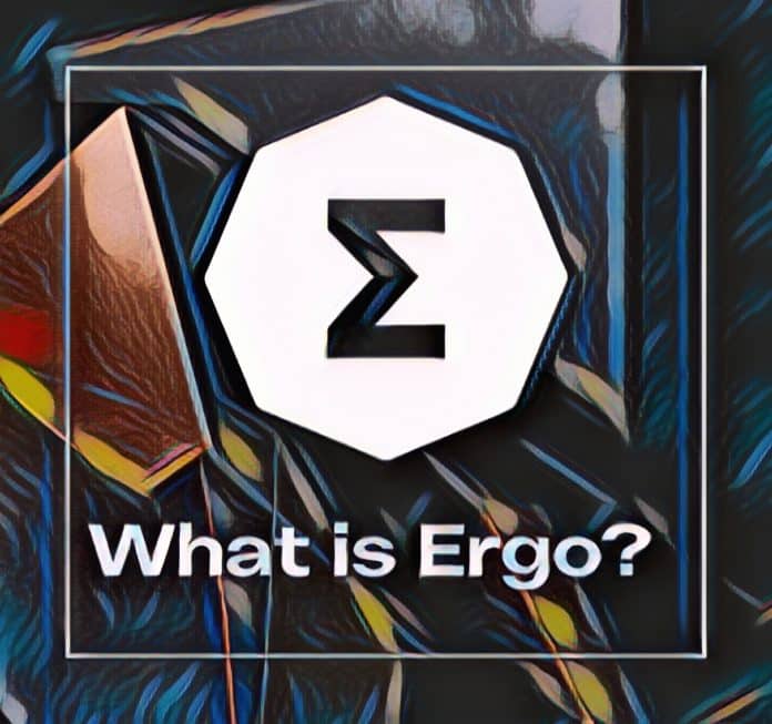 What is Ergo