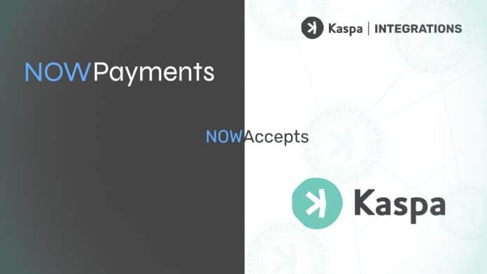 Nowpayments x Kaspa